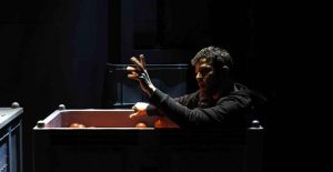 Safari pomodoro - Michele Costabile - Teatro Elfo Puccini Milano - Stagione 2024/2025