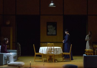 Lo zoo di vetro - Mariangela D’Abbraccio - Milano Teatro Carcano - Stagione 2024/2025